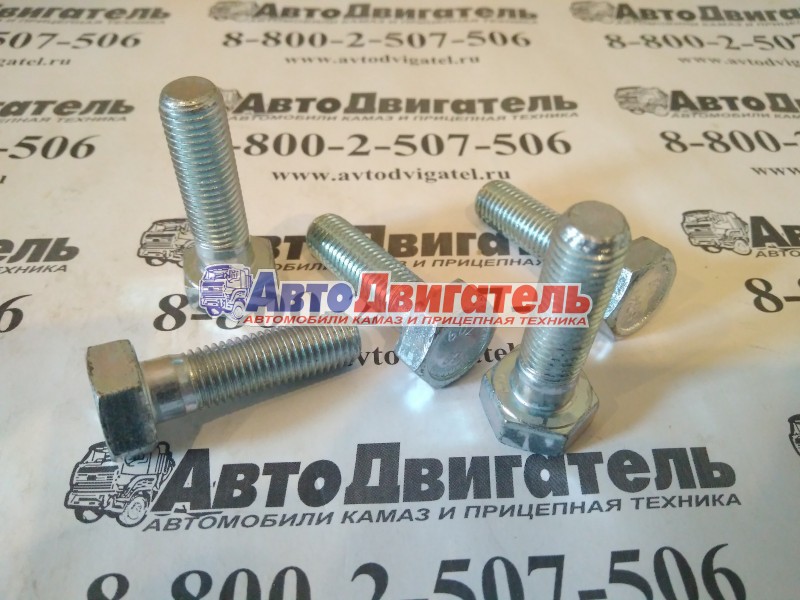 Болт м10х1,25х35 1/59709/31, 00001-0059709-319 КАМАЗ белзан, г белебей