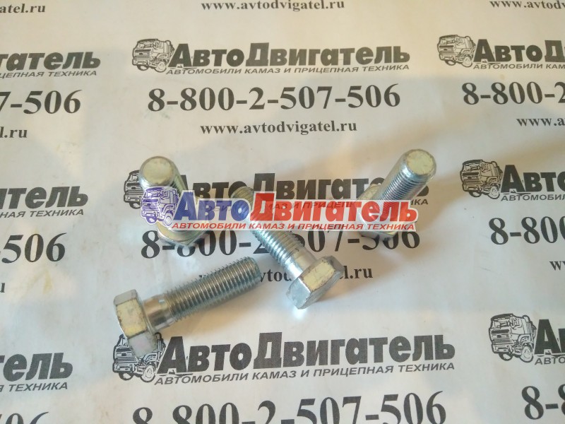 Болт М10х1,25х35 1/59709/31, 00001-0059709-319 КАМАЗ БелЗАН, г Белебей